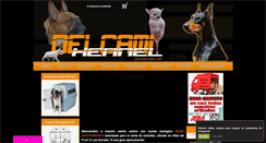 Desktop Screenshot of delcami.com